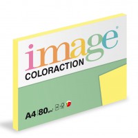 Coloraction 100 florida